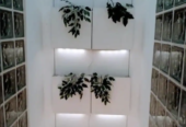 VFT EDIFICIO COMPLETO JUNTO C/ FERIA