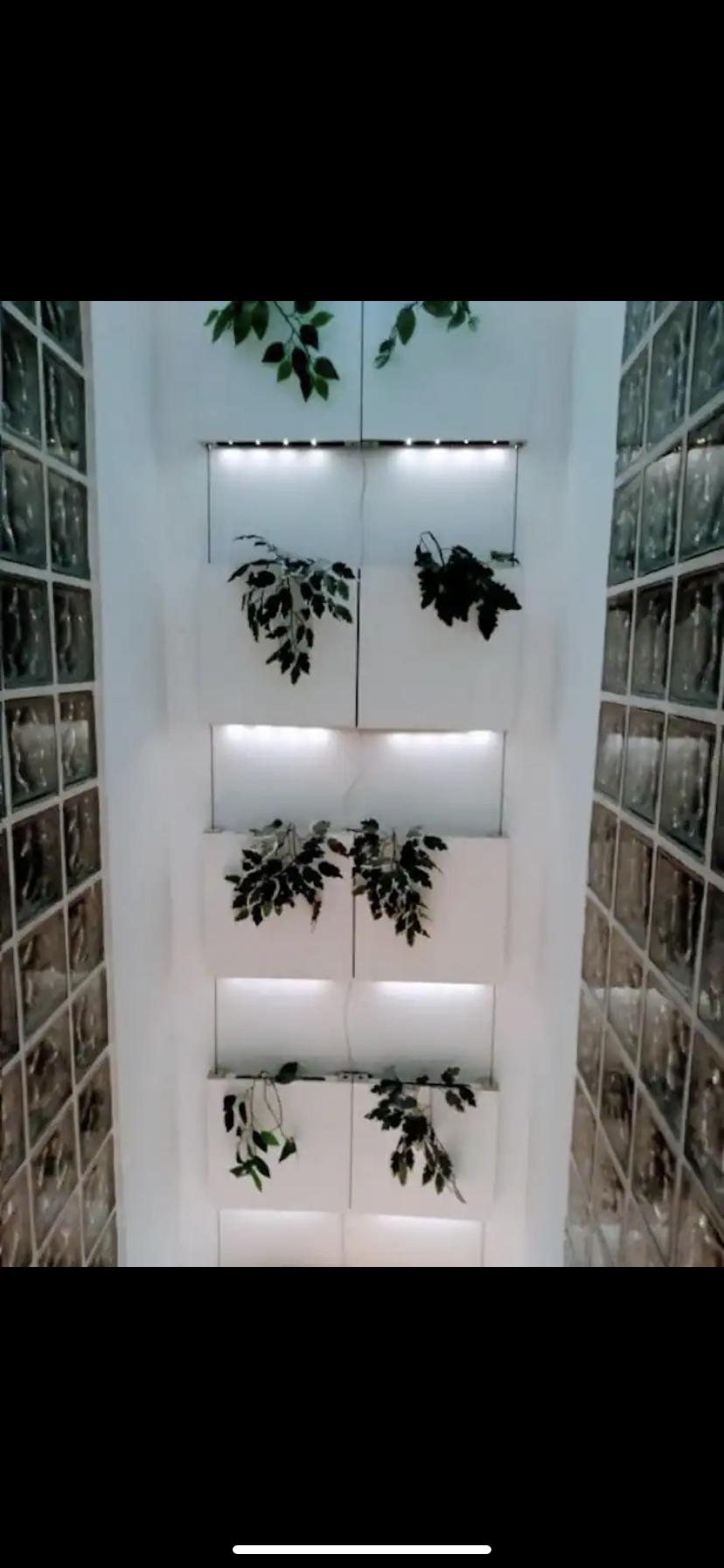 VFT EDIFICIO COMPLETO JUNTO C/ FERIA